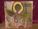 THE MOTHMEN PAY ATTENTION LP NEAR MINT PUNK TEXTURED C