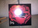 SMASHING PUMPKINS - Adore - Unplayed Double Vinyl Album