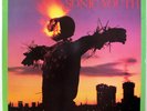 SONIC YOUTH Bad Moon Rising LP NM Original Homestead records issue with insert