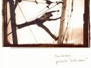 Radio Amor [Vinyl] Tim Hecker