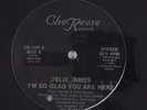 FELIX JAMES Im So Glad You Are Here CHEREESE 12