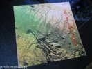 UGLY CUSTARD  KALEIDOSCOPE UK  1971 EX++/NM PSYCH/PROG/FUZZ MONSTER