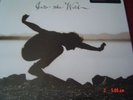 EDDIE VEDDER - INTO THE WILD