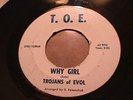 TROJANS OF EVOL (WHY GIRL / THROUGH THE NIGHT) 45RPM ON