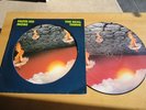 Faith no more , The real thing , Picture disc