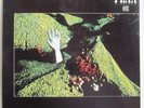 FLAX One NORWAY PSYCH PROG LP 1976 MINT RE Vertigo swirl