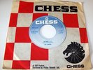 JOY LOVEJOY 1967 US CHESS 45 IN ORBIT .LISTEN