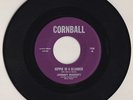 HIPPIE IN A BLUNDER Johnny Buckett CORNBALL Jackson Jail House Blue RARE COUNTRY