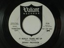 DENNY PROVISOR rock/garage 45 IT REALLY TEARS ME UP/SHE'S NOT MINE ANYMORE VG+