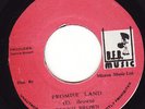 DENNIS BROWN promise land D.E.B. 7