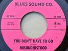 MISUNDERSTOOD 45 You Don't Have To Go    1966  Blues Sound Co  Garage Punk Psych