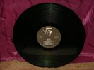 RATTUS TOILET BLOWS UP LP  NEAR MINT PUNK MUTH RECORDS  NEVER RELEASED