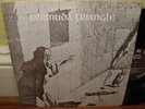 Bermuda Triangle same Lp Private Folk-Psych rare