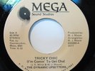 DYNAMIC UPSETTERS - TRICKY CHIC - UNKNOWN MODERN SOUL - LISTEN - MELLOW MADNESS