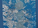MERZBOW - ECOBONDAGE - VERY RARE NUMBERED ZSF PRODUCT LP - JAPAN NOISE - 1987