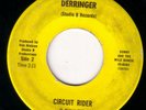 unknown rockabilly 45 SONNY & WILD BUNCH 