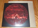 Pearl Jam 2010 Holiday Christmas Fan Club Single Vinyl 2011 Fanclub Record 