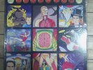 Rare Pearl Jam Backspacer White Vinyl LP Record PJ20 Sealed