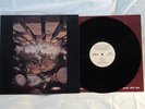ALGARNAS TRADGARD Framtiden LP SILENCE Orig Swedish Prog NWW