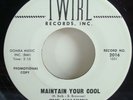 The Volumes   I Got Love / Maintain Your Cool   Rare Doo Wop   Northern 45 Promo