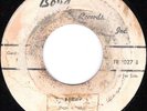 THE MASQUARADES Fanessa RARE DOO WOP PROMO 45 on BOYD 1027