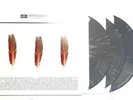Appleseed Cast Low Level Owl Ltd. Silver Triple Vinyl Sealed/New