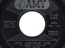 THE RAYS Love Another Girl RARE NORTHERN SOUL PROMO 45 on AMY 900