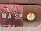W.A.S.P. 