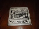 Mumford and Sons Love Your Ground 10