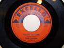 Blues 45 BLUES ROCKERS Calling All Cows on Excello 2062 M- Jerry McCain