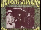 HERBAL MIXTURE:Please Leave my Mind / GROUNDHOGS OOP LP
