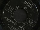 45 DANNY ZELLA & THE ZELL ROCKS on DIAL Sapphire rare Detroit rockabilly garage