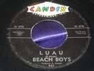 45 Rare Surf Beach Boys on Candix 301- 
