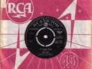 The Flies - The Magic Train / Gently As You Feel  (RCA 45) Pop Psych