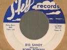 Bobby Roberts Big Sandy/She's my woman Sky 56-101 rare rockabilly high grade 45
