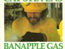 CAT STEVENS-RARE PICTURE SLEEVE on A&M from 1975--(BANAPPLE GAS)--PS--PIC---SLV