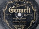 BLACK BIRDS OF PARADISE Gennett 6211 RARE 78 One of the Rarest 78s in the World