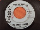 THE AMBASSADORS STORM WARNING 45 RECORD I DIG YOU BABY ARCTIC 153