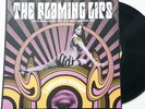 THE FLAMING LIPS BEAUTIFUL ACCIDENT LP WESTWARD CLUB 1987 N.MINT VERY RARE