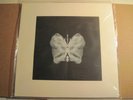 DANIEL HIGGS Atomic Yggrasil Tarot RARE HANDCRAFTED LP limited to 50 Lungfish