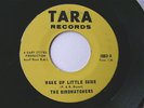 The BIRDWATCHERS 1965 garage mod TARA records Very Rare   private LooK 