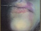 P J Harvey Dry Vinyl LP Long Out of Print PJ Harvey P.J. Harvey Nude Back Cover