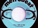 MN Garage JOKERS WILD All I See Is You KILLER METROBEAT 45 comped Hear
