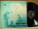 FREE JAZZ - SPONTANEOUS MUSIC ENSEMBLE Birds of a Feather BYG Julie Tippetts