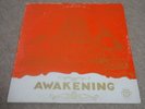 ORG THE PHARAOHS / AWAKENING / PRIVATE RARE FUNK SOUL LP / HEAR*