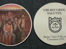CHARLIE DANIELS BAND PROMO PICTURE DISC LP 1979 Budget Records & Tapes