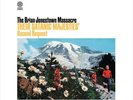 Brian Jonestown Massacre 