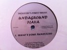 Undaground Flava What's Your Function? '95 RARE Indie Random Rap SEALED