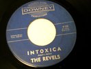 MAD MIKE MONSTER REVELS INTOXICA DOWNEY INST./GARAGE/SURF 45  
