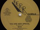 NICE You Are Very Special  BOOGIE 12